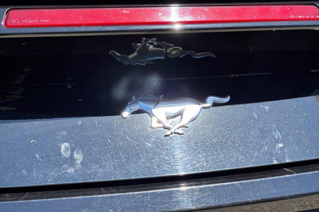 Photo of 2024 Shadow Black Ford Mustang