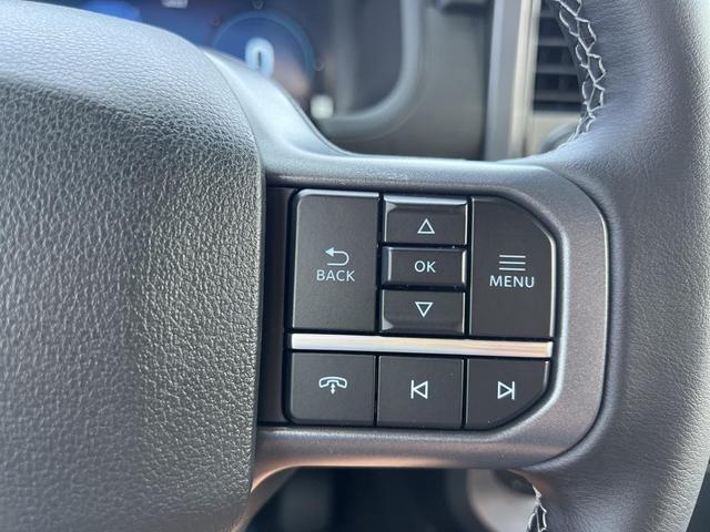 Photo of 2025 Agate Black Metallic Ford F-150