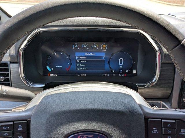 Photo of 2025 Gray Metallic Ford F-150