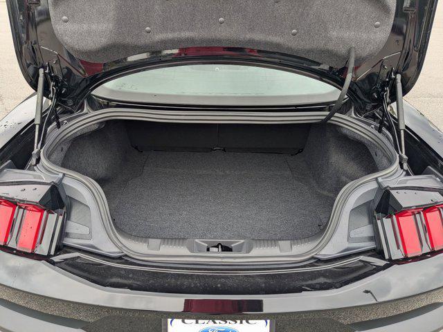 Photo of 2025 Shadow Black Ford Mustang