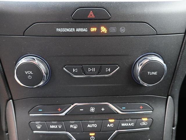 Photo of 2020 Magnetic Ford Edge
