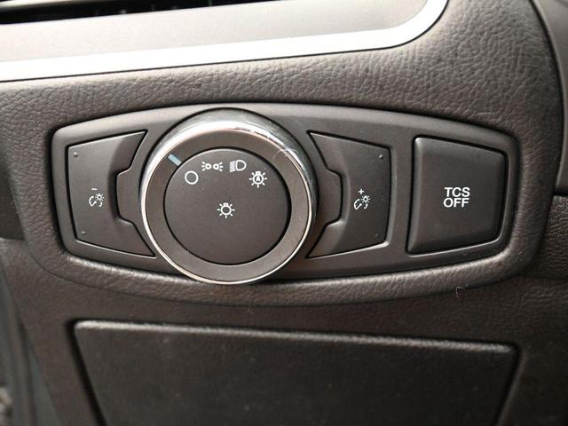 Photo of 2020 Magnetic Ford Edge