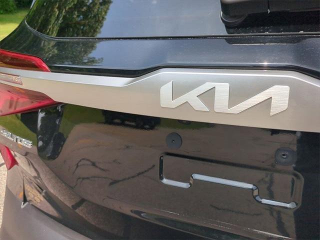 Photo of 2022 Cherry Black Kia Seltos