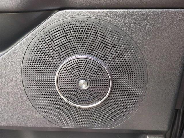 Photo of 2021 Agate Black Ford Expedition Max
