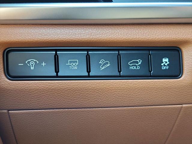 Photo of 2025 Panthera Metal Kia Telluride