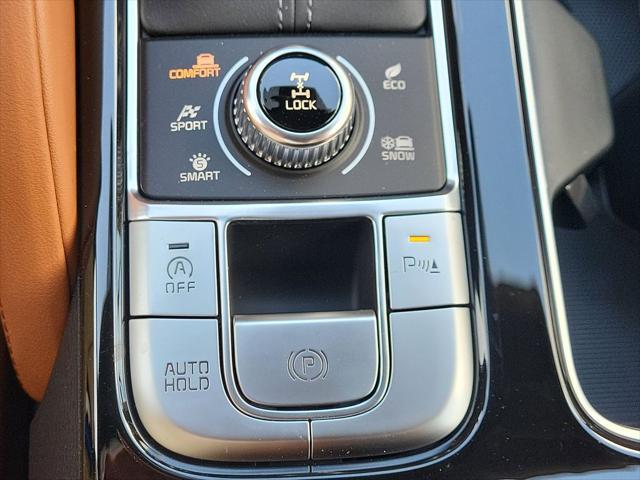 Photo of 2025 Panthera Metal Kia Telluride