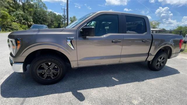 Photo of 2023 Stone Gray Metallic Ford F-150