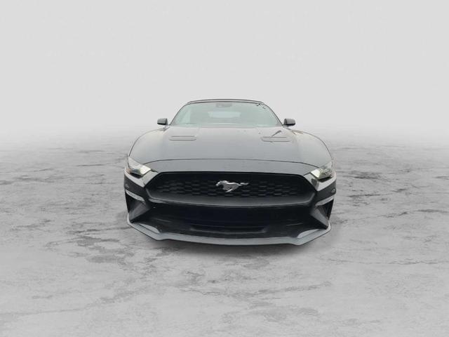Photo of 2022 Shadow Black Ford Mustang