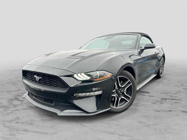 Photo of 2022 Shadow Black Ford Mustang