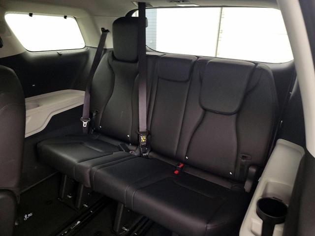 Photo of 2024 Black Kia Carnival