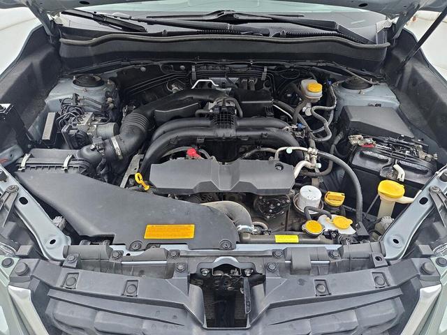 Photo of 2017 Green Subaru Forester