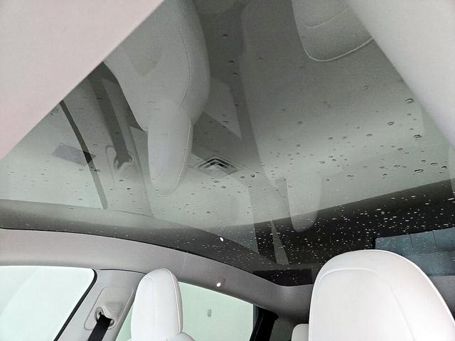 Photo of 2021 Pearl Tesla Model Y