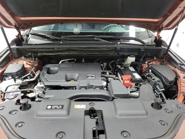 Photo of 2025 Brown Lexus NX 250