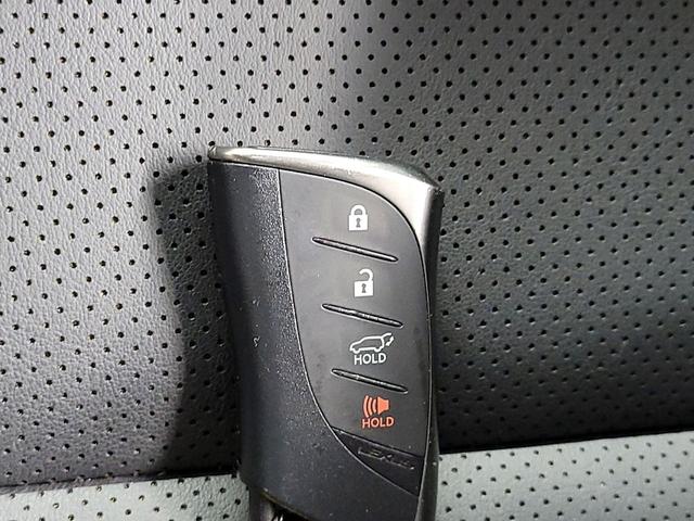Photo of 2025 Brown Lexus NX 250
