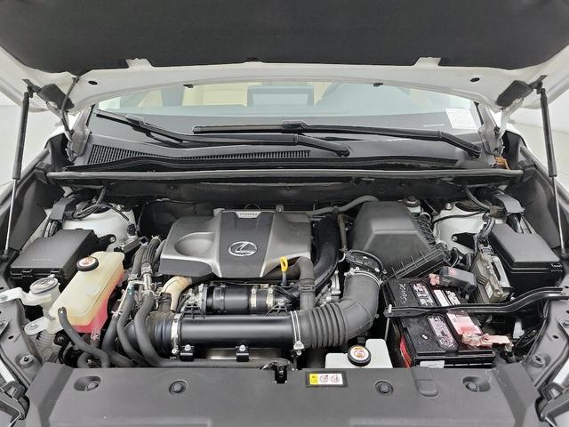 Photo of 2020 White Lexus NX 300