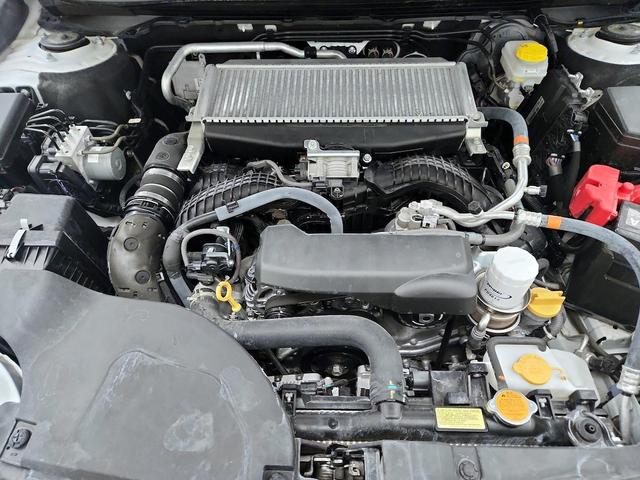 Photo of 2024 White Subaru Outback