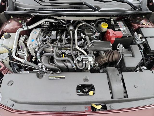Photo of 2023 Burgundy Nissan Sentra