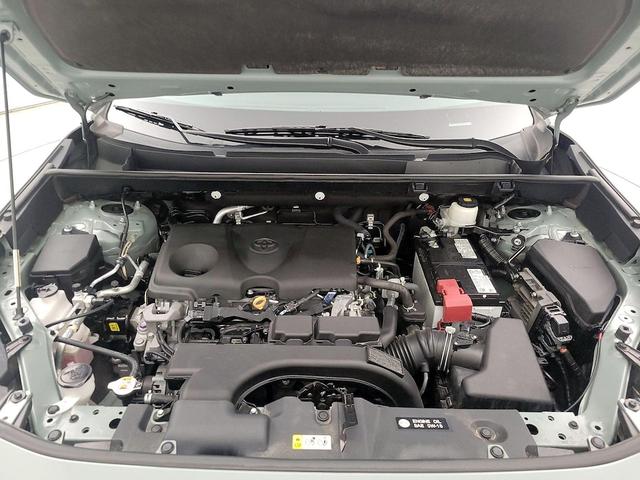 Photo of 2021 Green Toyota RAV4