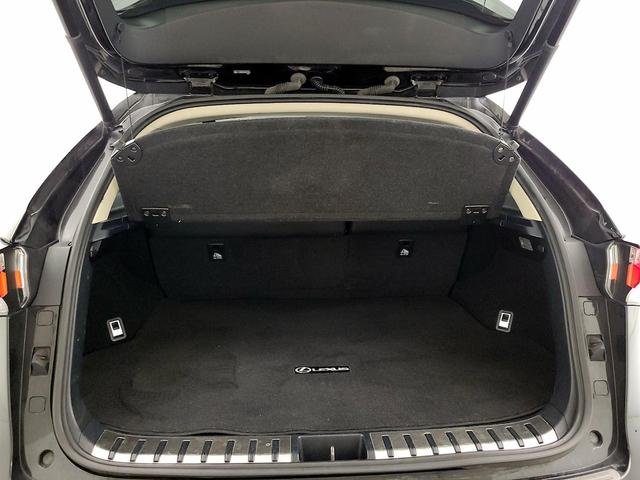 Photo of 2016 Black Lexus NX 200t