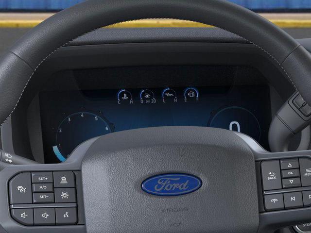 Photo of 2025 Oxford White Ford F-150
