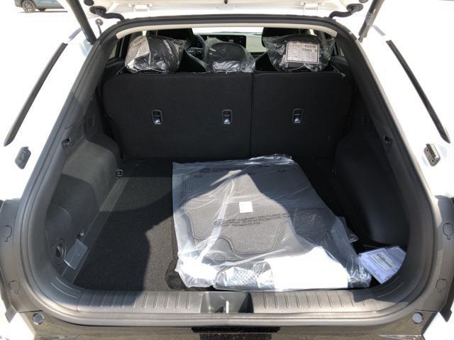 Photo of 2025 Glacier White Pearl Kia EV6