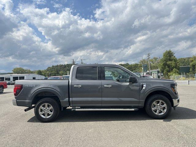 Photo of 2025 Gray Metallic Ford F-150