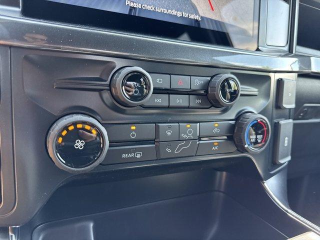 Photo of 2025 Carbonized Gray Metallic Ford F-150