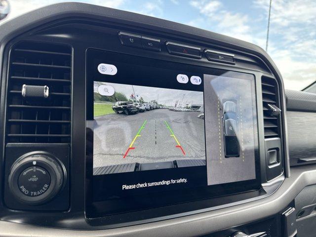 Photo of 2024 Black Metallic Ford F-150