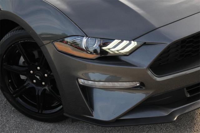 Photo of 2020 Magnetic Ford Mustang