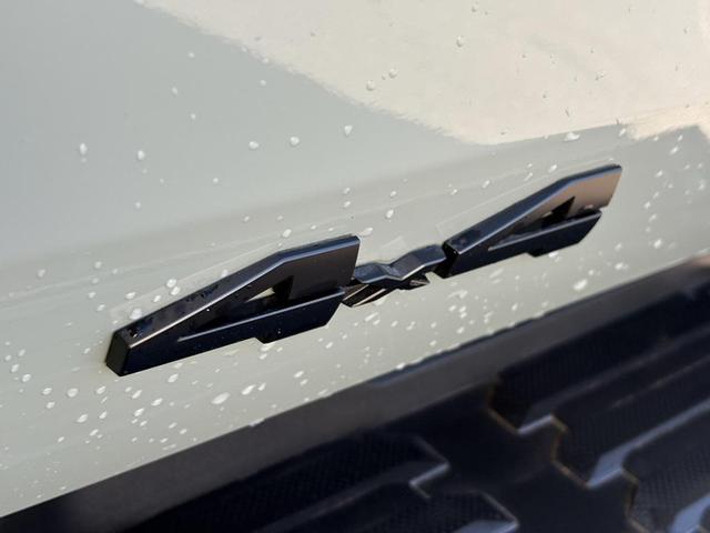 Photo of 2025 Lunar Rock Toyota Tundra