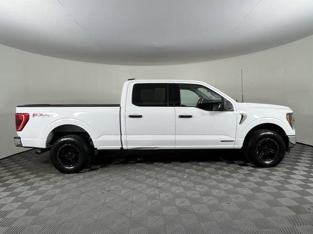 Photo of 2023 White Ford F-150
