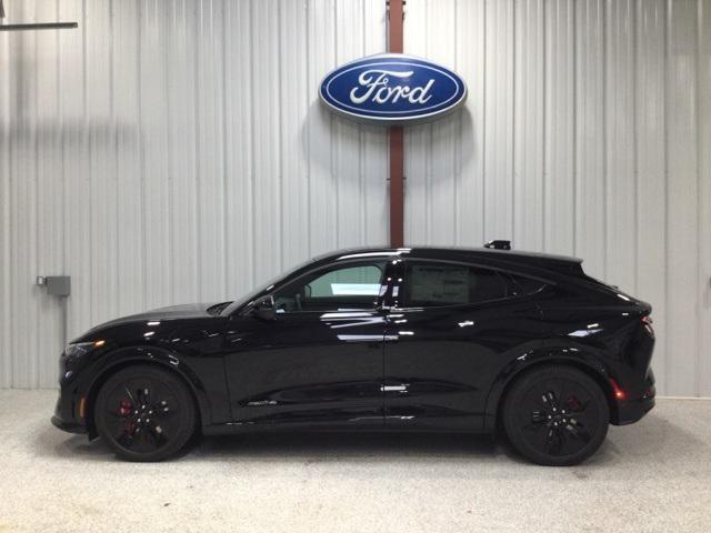 Photo of 2025 Shadow Black Ford Mustang Mach-E
