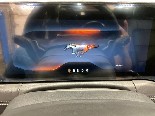Photo of 2024 Gray Metallic Ford Mustang
