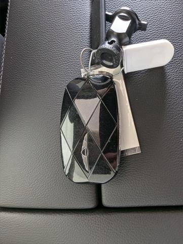 Photo of 2025 Vik Black Genesis GV80