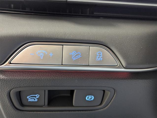Photo of 2025 Vik Black Genesis GV80
