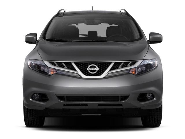 Photo of 2010 Bronze Nissan Murano