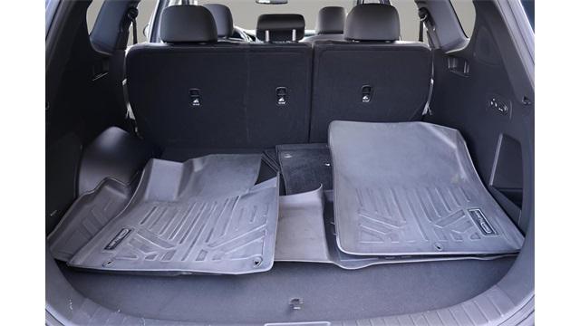 Photo of 2020 Rainforest Hyundai SANTA FE