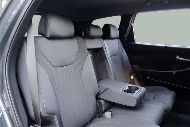 Photo of 2020 Rainforest Hyundai SANTA FE