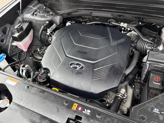 Photo of 2022 Rainforest Hyundai PALISADE