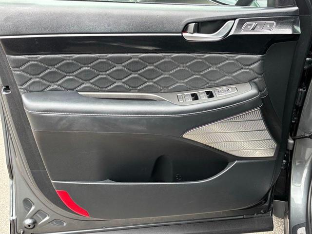 Photo of 2022 Rainforest Hyundai PALISADE