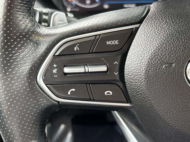 Photo of 2022 Rainforest Hyundai PALISADE