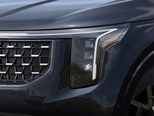 Photo of 2026 Panthera Metal Kia Carnival