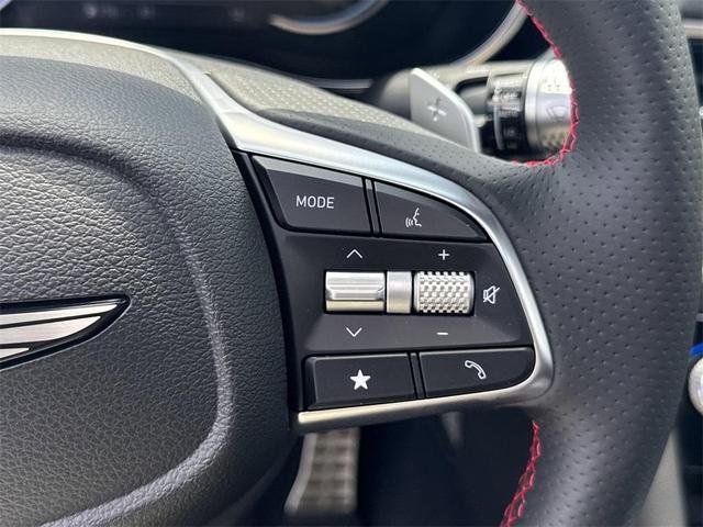 Photo of 2026 Vik Black Genesis G70