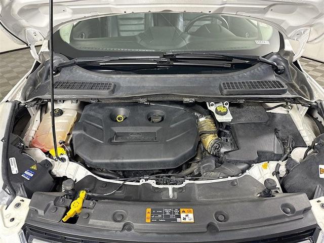 Photo of 2016 White Ford Escape