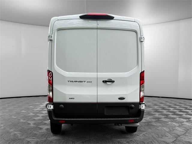 Photo of 2025 Oxford White Ford Transit-250