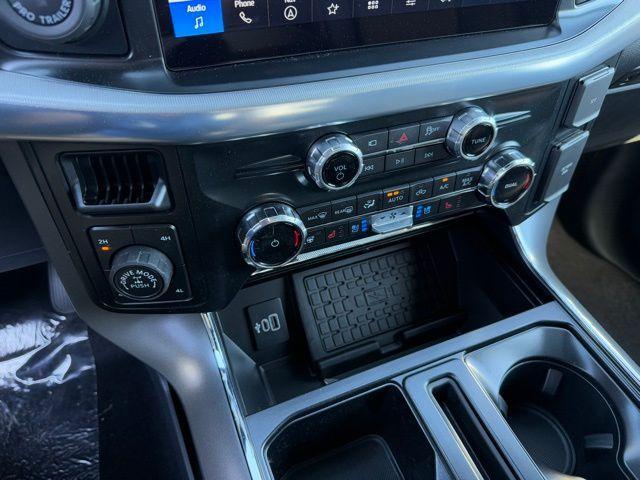 Photo of 2025 Carbonized Gray Metallic Ford F-150