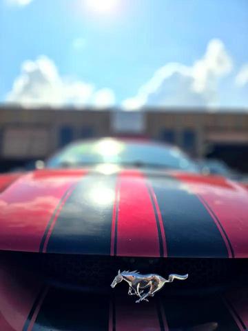 Photo of 1996 RED Ford Mustang