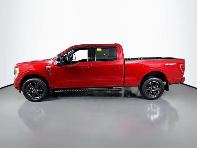 Photo of 2022 RAPID RED MET TINTED CC Ford F-150