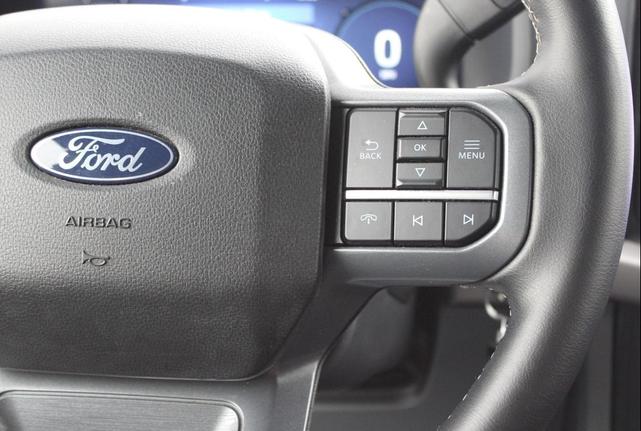 Photo of 2024 Blue Ford F-150