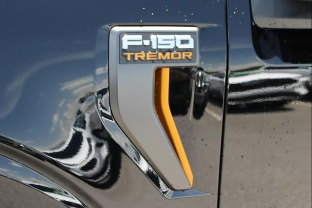 Photo of 2025 Agate Black Metallic Ford F-150